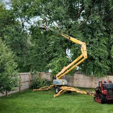 Artificial Turf Installation in Sundown, TX