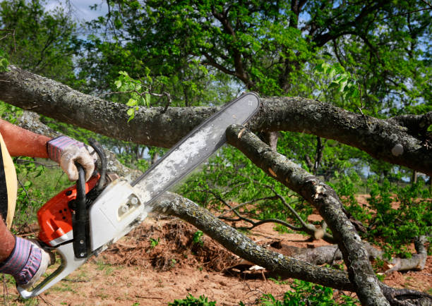 Soil Testing and Treatment in Sundown, TX